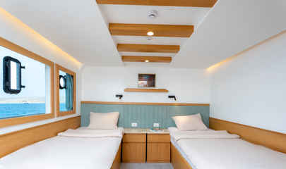 Twin Bed Convertible Suite - Upper Deck