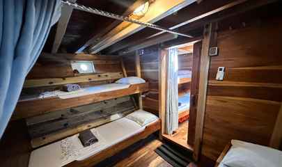 Shared Cabins