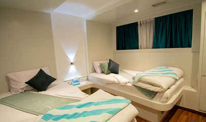 Deluxe Staterooms Twin