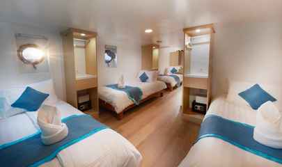 Standard Quad Cabin (B8)