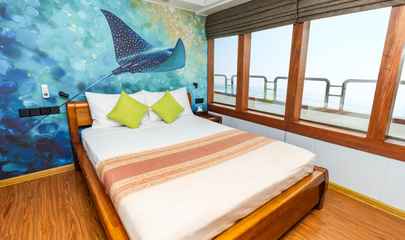 Single Suites