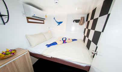 Comfort Double Cabin