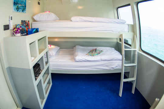 Standard Bunk Cabin
