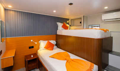 Standard Bunk Style - Lower Deck