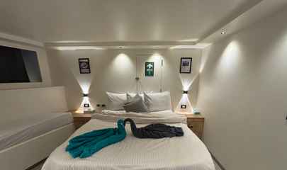 Suite - Lower Deck
