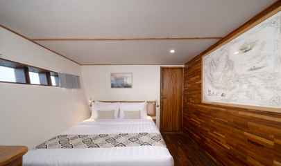 Lower Deck Single Cabin