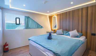 Standard Suite (King) - Main Deck