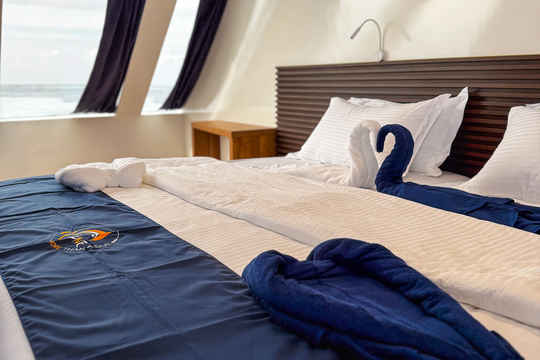 Superior Single Cabin