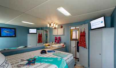 Master Stateroom