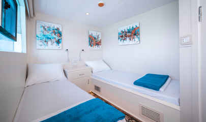 Upper Deck Twin Cabin