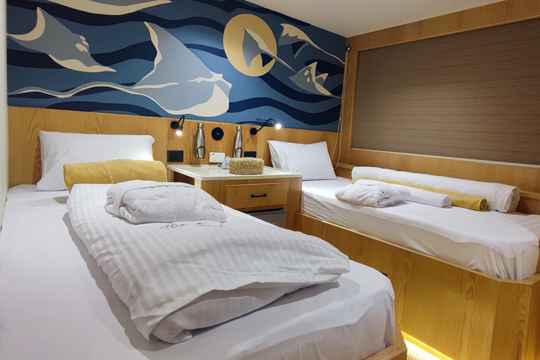 Lower Deck Twin Cabin