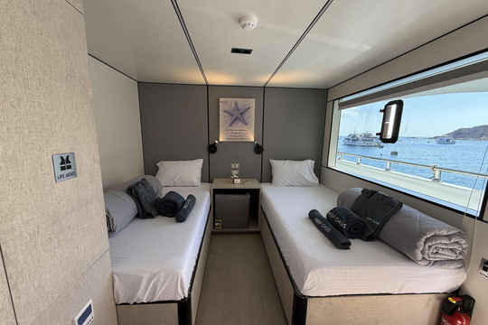 Upper Deck Twin Cabin