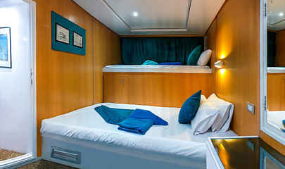 Standard Family Cabin