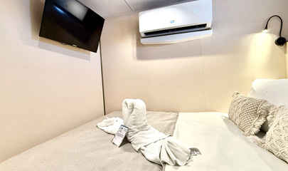 Solo Stateroom