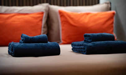 Voyager Queen Cabin
