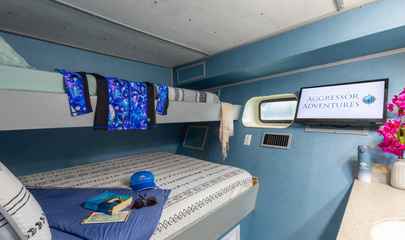 Deluxe Stateroom