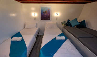 Standard Cabin - Lower Deck