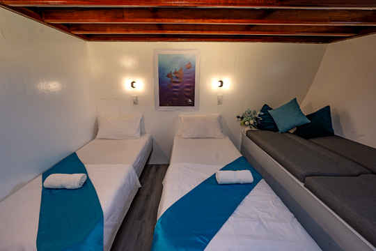 Standard Cabin - Lower Deck