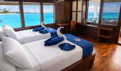 Premium Cabin
