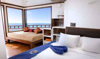 Superior Cabin
