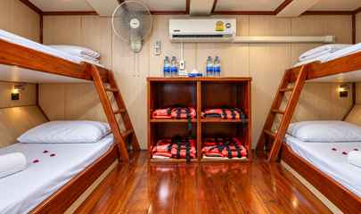 Quad Cabin