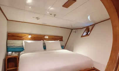 Standard Cabin